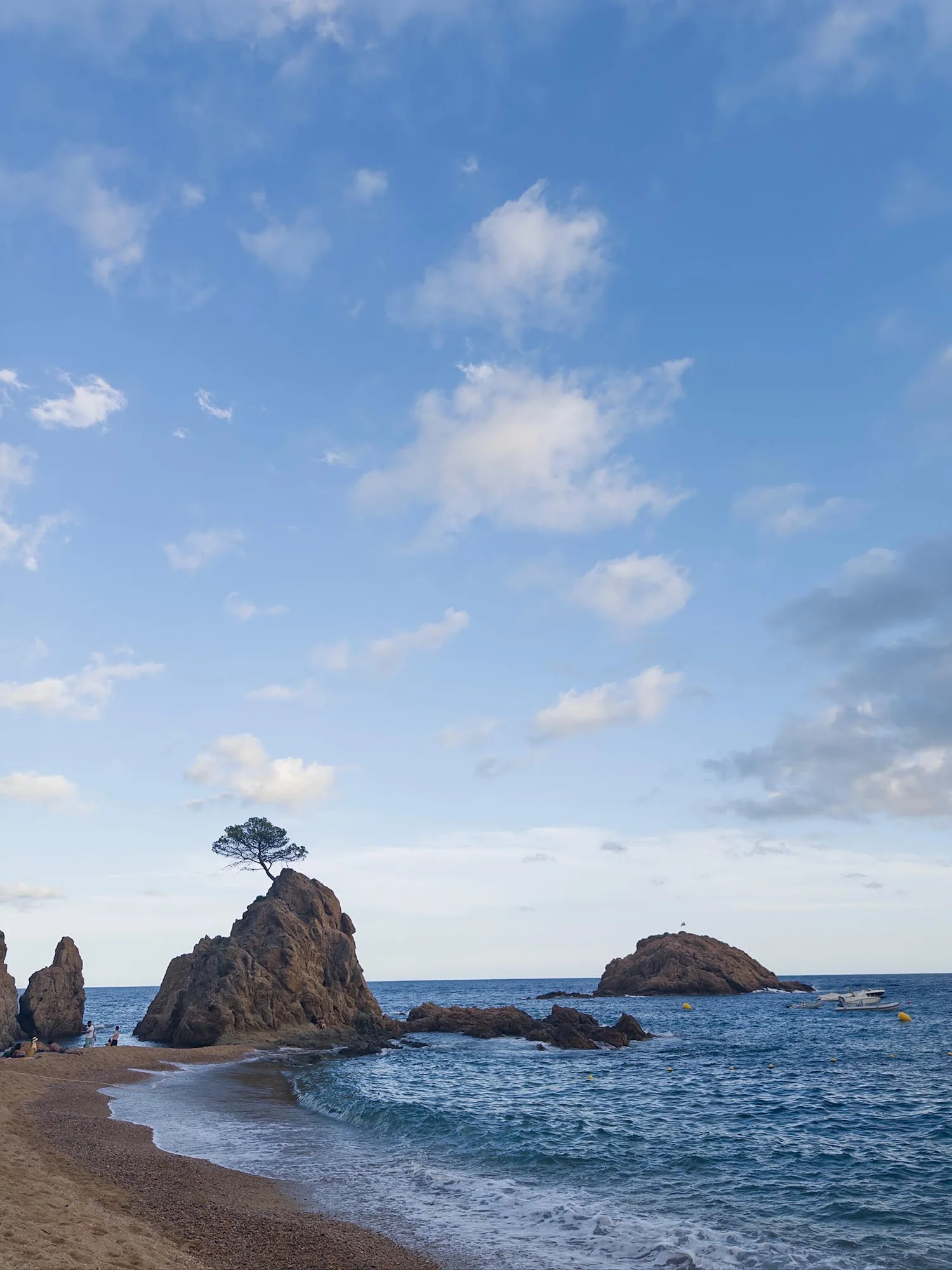 A lone pine tree atop a sea rock on the Costa Brava coastline